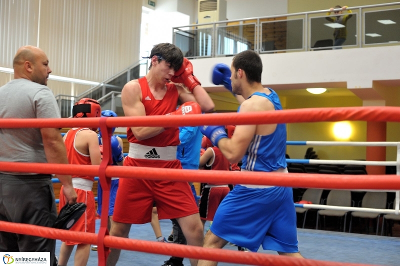 Madár Nyíregyházán - fotó Szarka Lajos