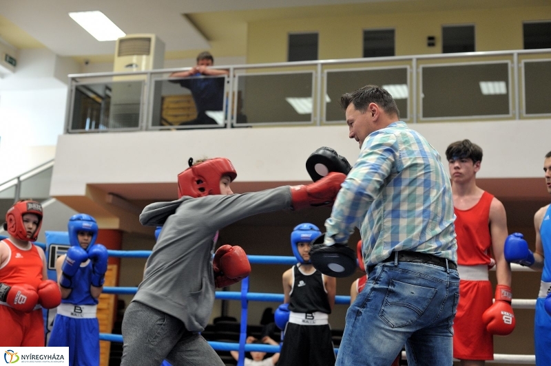 Madár Nyíregyházán - fotó Szarka Lajos