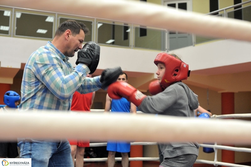 Madár Nyíregyházán - fotó Szarka Lajos