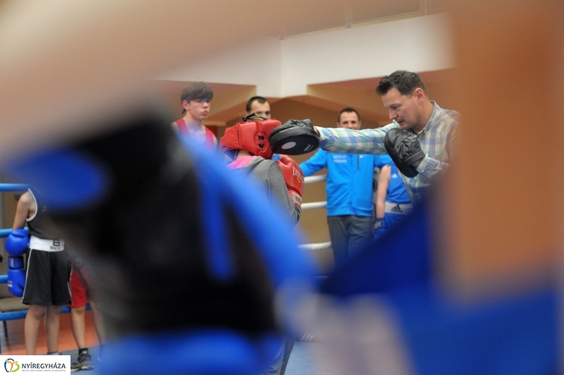 Madár Nyíregyházán - fotó Szarka Lajos