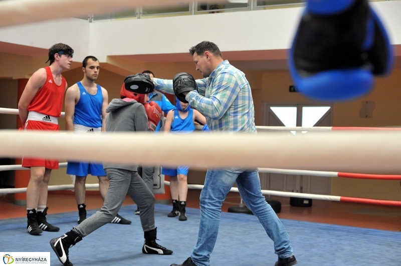 Madár Nyíregyházán - fotó Szarka Lajos