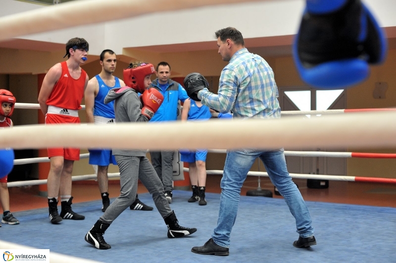 Madár Nyíregyházán - fotó Szarka Lajos