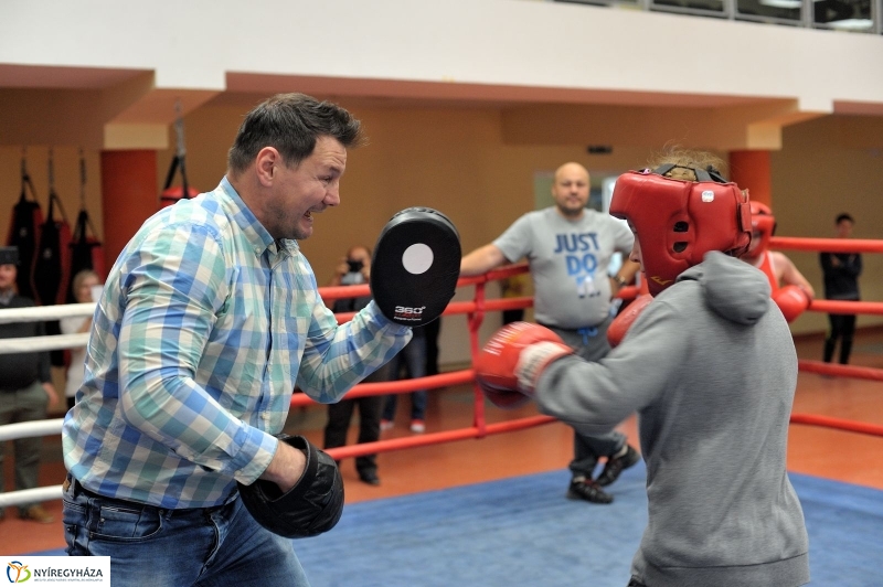 Madár Nyíregyházán - fotó Szarka Lajos