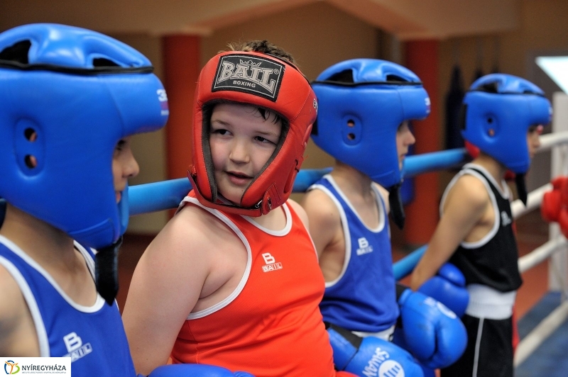 Madár Nyíregyházán - fotó Szarka Lajos