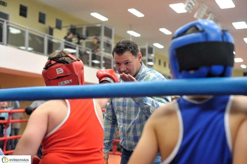 Madár Nyíregyházán - fotó Szarka Lajos