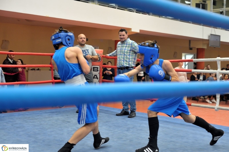 Madár Nyíregyházán - fotó Szarka Lajos