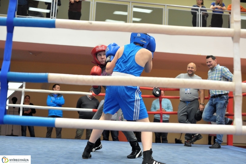 Madár Nyíregyházán - fotó Szarka Lajos