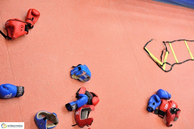 Madár Nyíregyházán - fotó Szarka Lajos