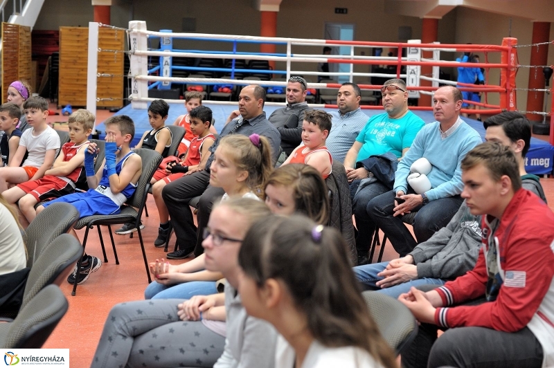 Madár Nyíregyházán - fotó Szarka Lajos