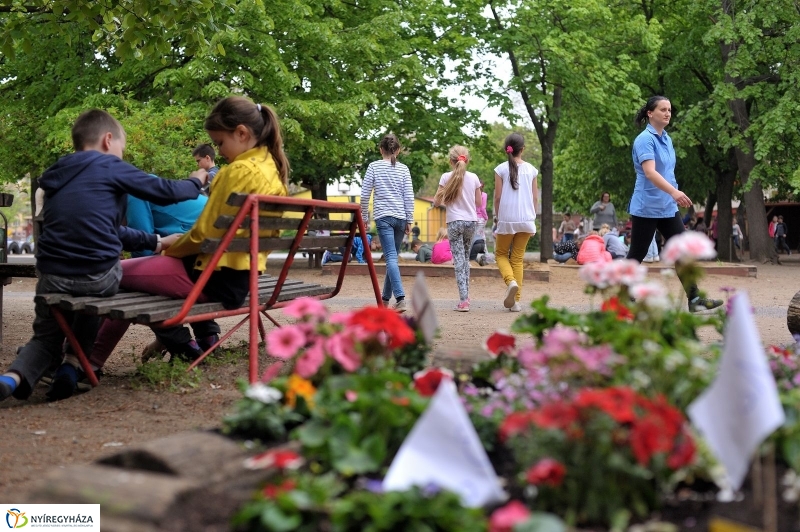 MOBIDIK az Apáczaiban - fotó Szarka Lajos
