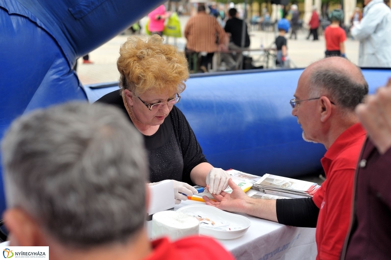 Lions szűrések 2017 - fotó Szarka Lajos