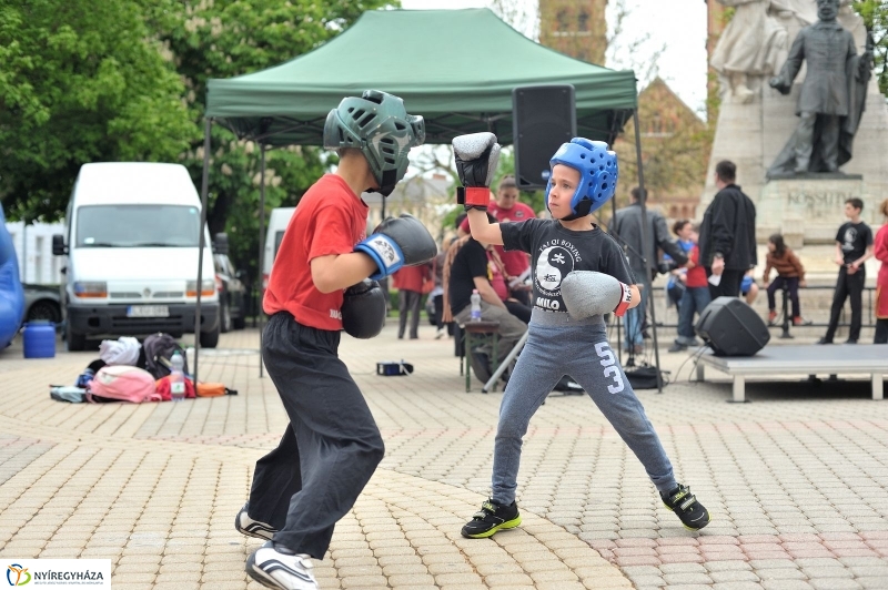 Lions szűrések 2017 - fotó Szarka Lajos