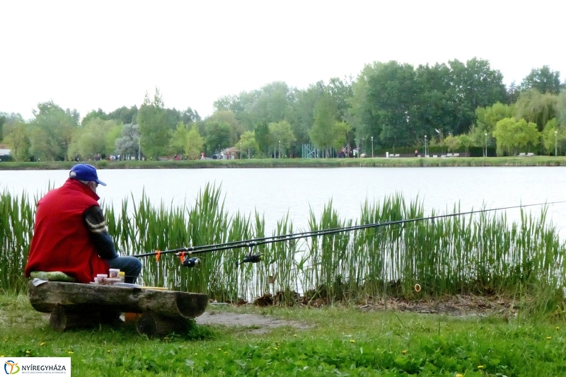 Április utolsó napja Sóstón - Szarka Lajos