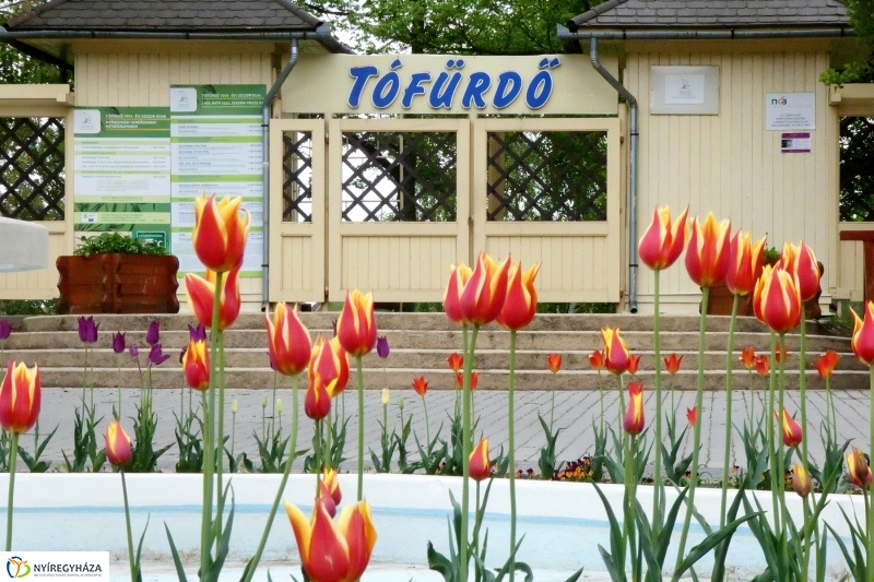 Április utolsó napja Sóstón - Szarka Lajos