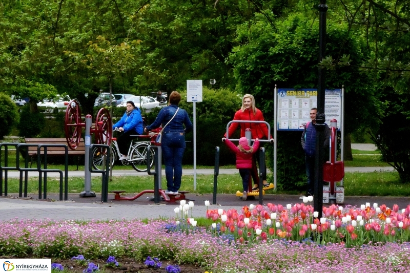 Április utolsó napja Sóstón - Szarka Lajos