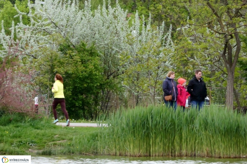 Április utolsó napja Sóstón - Szarka Lajos