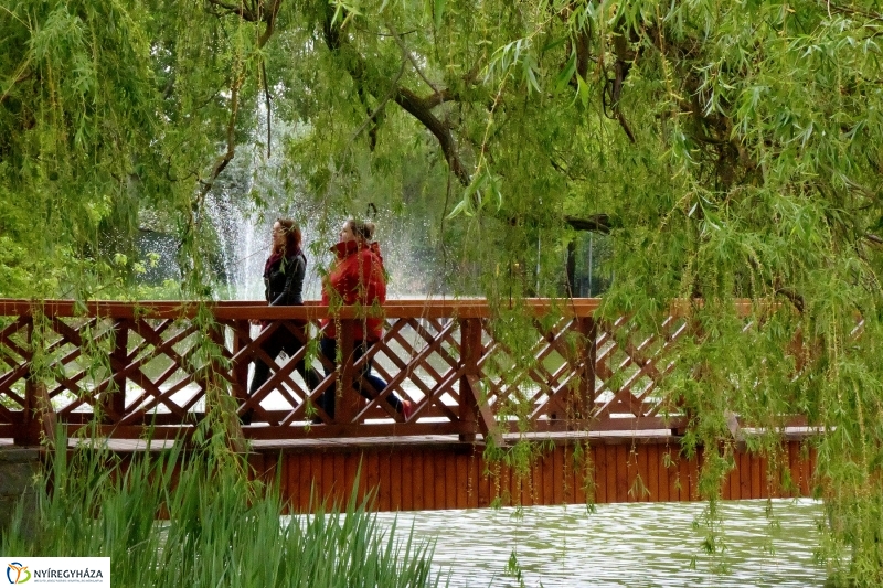 Április utolsó napja Sóstón - Szarka Lajos