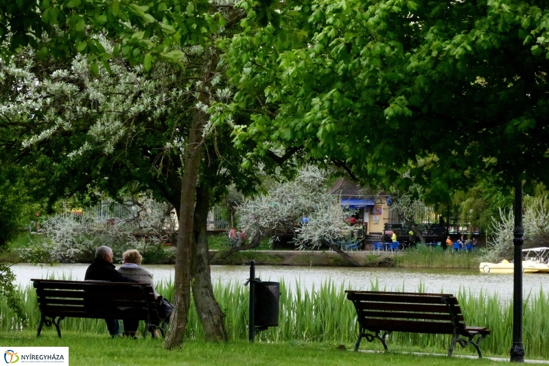 Április utolsó napja Sóstón - Szarka Lajos