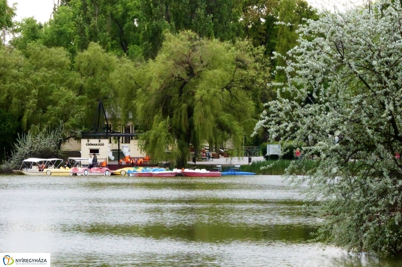 Április utolsó napja Sóstón - Szarka Lajos