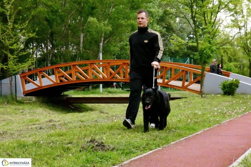 Április utolsó napja Sóstón - Szarka Lajos