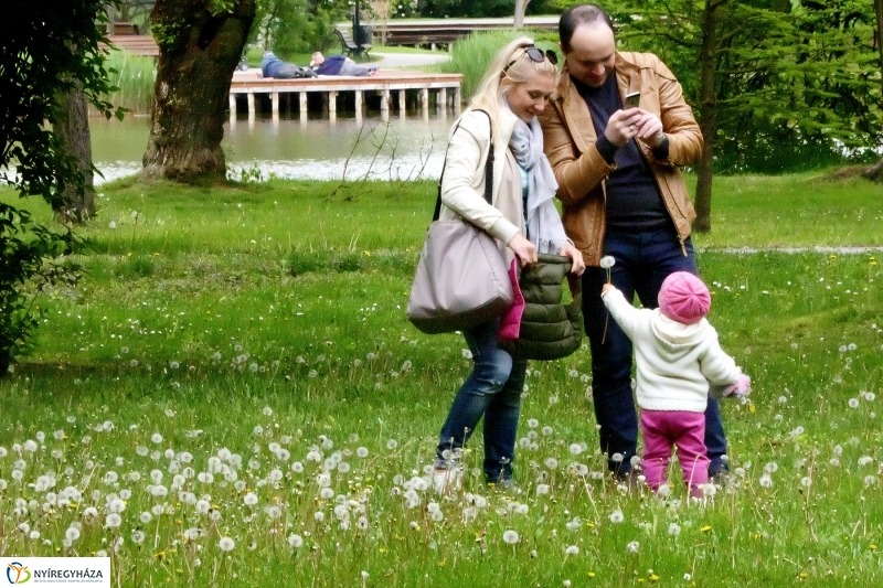 Április utolsó napja Sóstón - Szarka Lajos