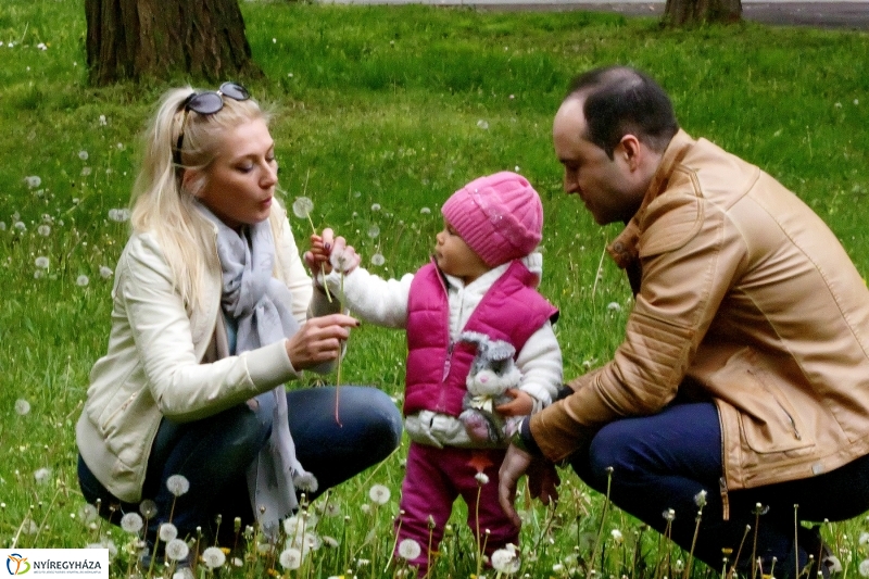 Április utolsó napja Sóstón - Szarka Lajos