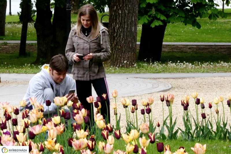 Április utolsó napja Sóstón - Szarka Lajos