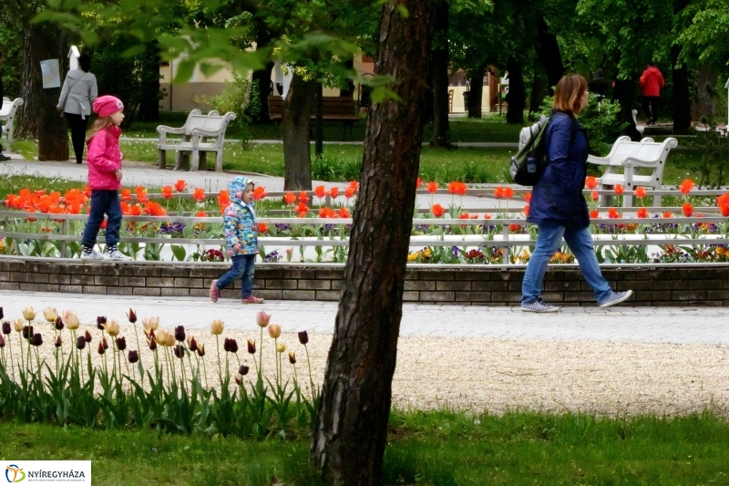 Április utolsó napja Sóstón - Szarka Lajos