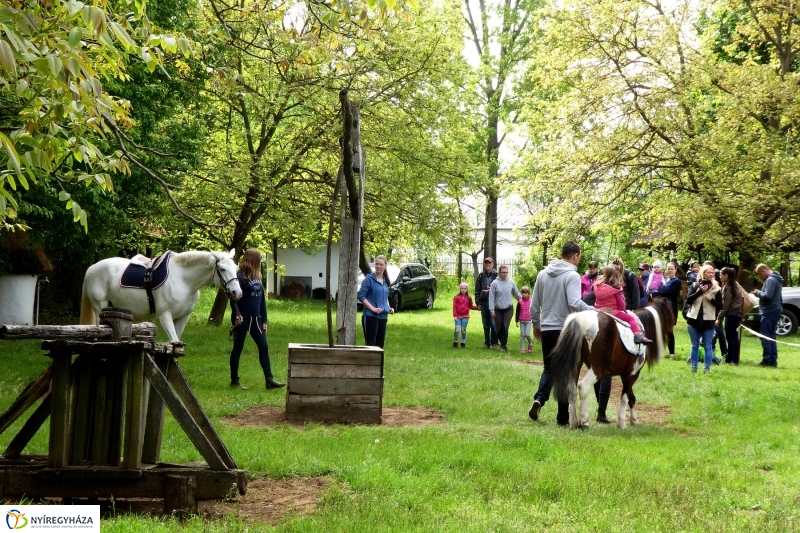 Majális a múzeumfaluban - fotó Szarka Lajos