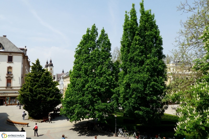 Tavasz a belvárosban - fotó Szarka Lajos