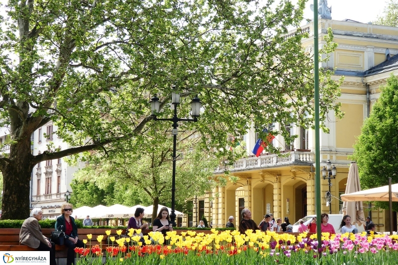 Tavasz a belvárosban - fotó Szarka Lajos