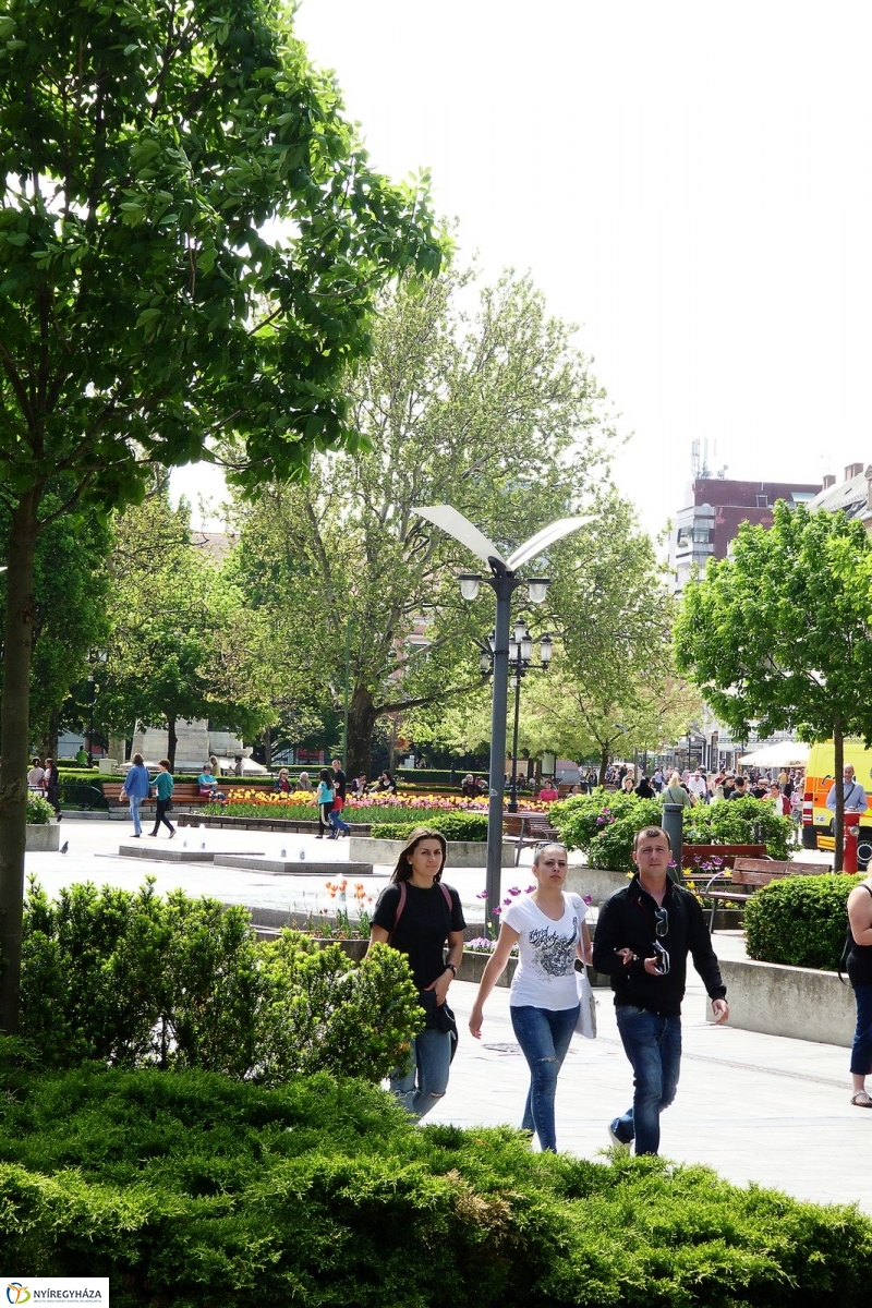 Tavasz a belvárosban - fotó Szarka Lajos