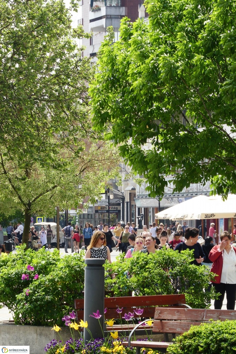 Tavasz a belvárosban - fotó Szarka Lajos
