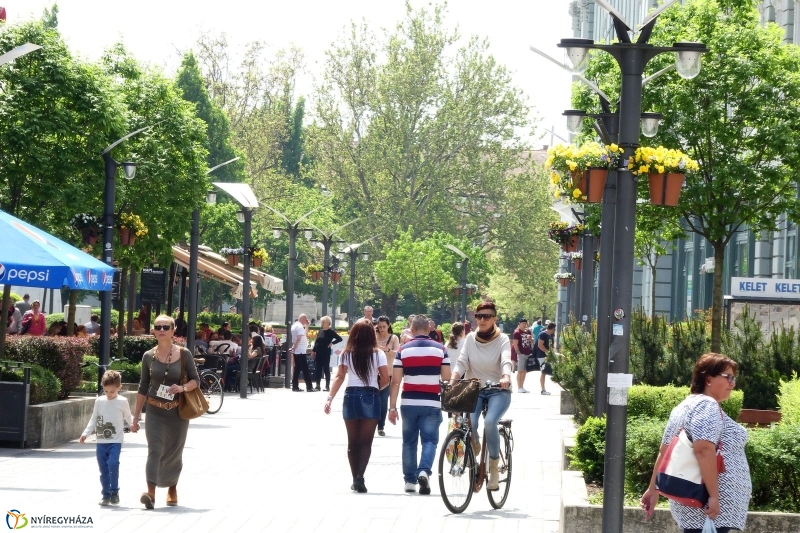 Tavasz a belvárosban - fotó Szarka Lajos