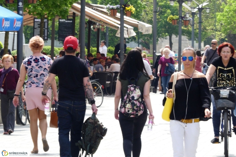 Tavasz a belvárosban - fotó Szarka Lajos