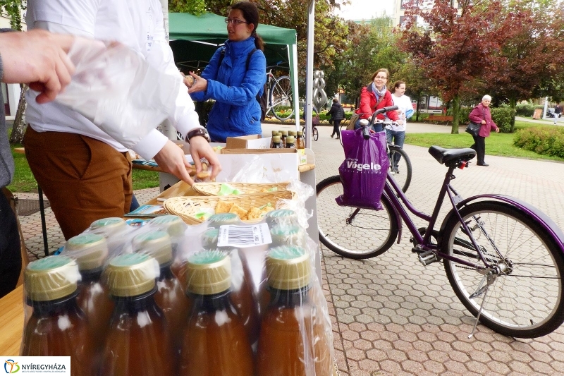 Bringás Reggeli 2017 - fotó Szarka Lajos