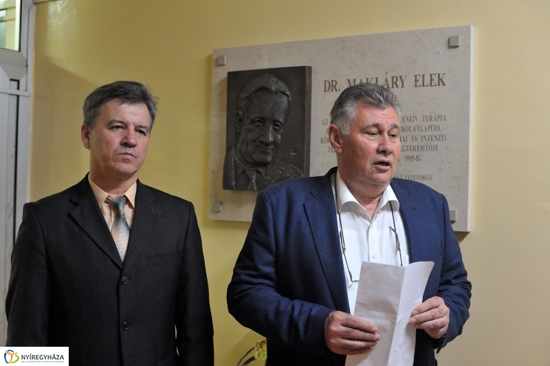 Életet Adományozó Kórház - fotó Szarka Lajos