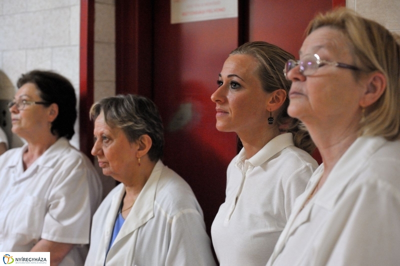 Életet Adományozó Kórház - fotó Szarka Lajos