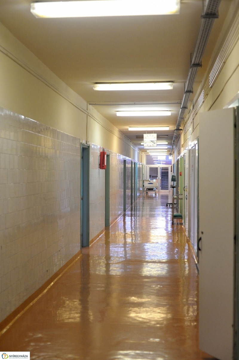 Életet Adományozó Kórház - fotó Szarka Lajos