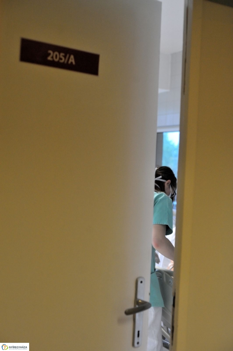 Életet Adományozó Kórház - fotó Szarka Lajos