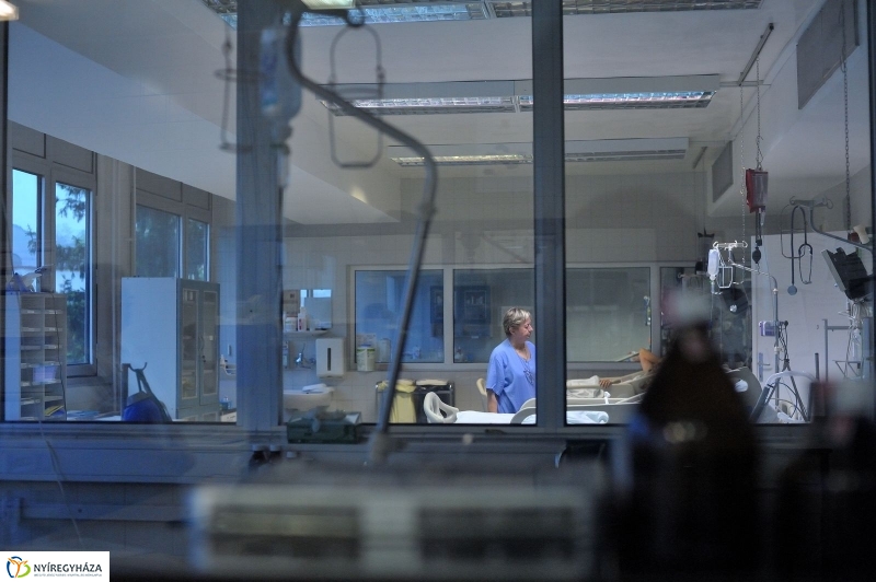 Életet Adományozó Kórház - fotó Szarka Lajos