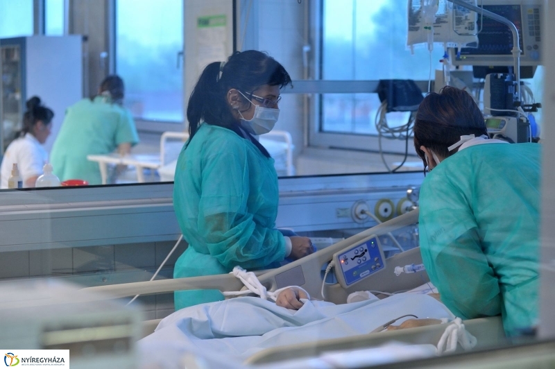 Életet Adományozó Kórház - fotó Szarka Lajos