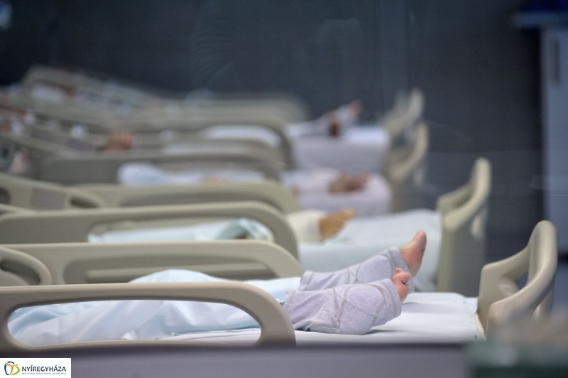 Életet Adományozó Kórház - fotó Szarka Lajos