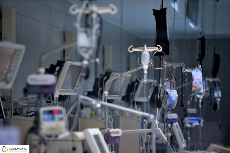 Életet Adományozó Kórház - fotó Szarka Lajos