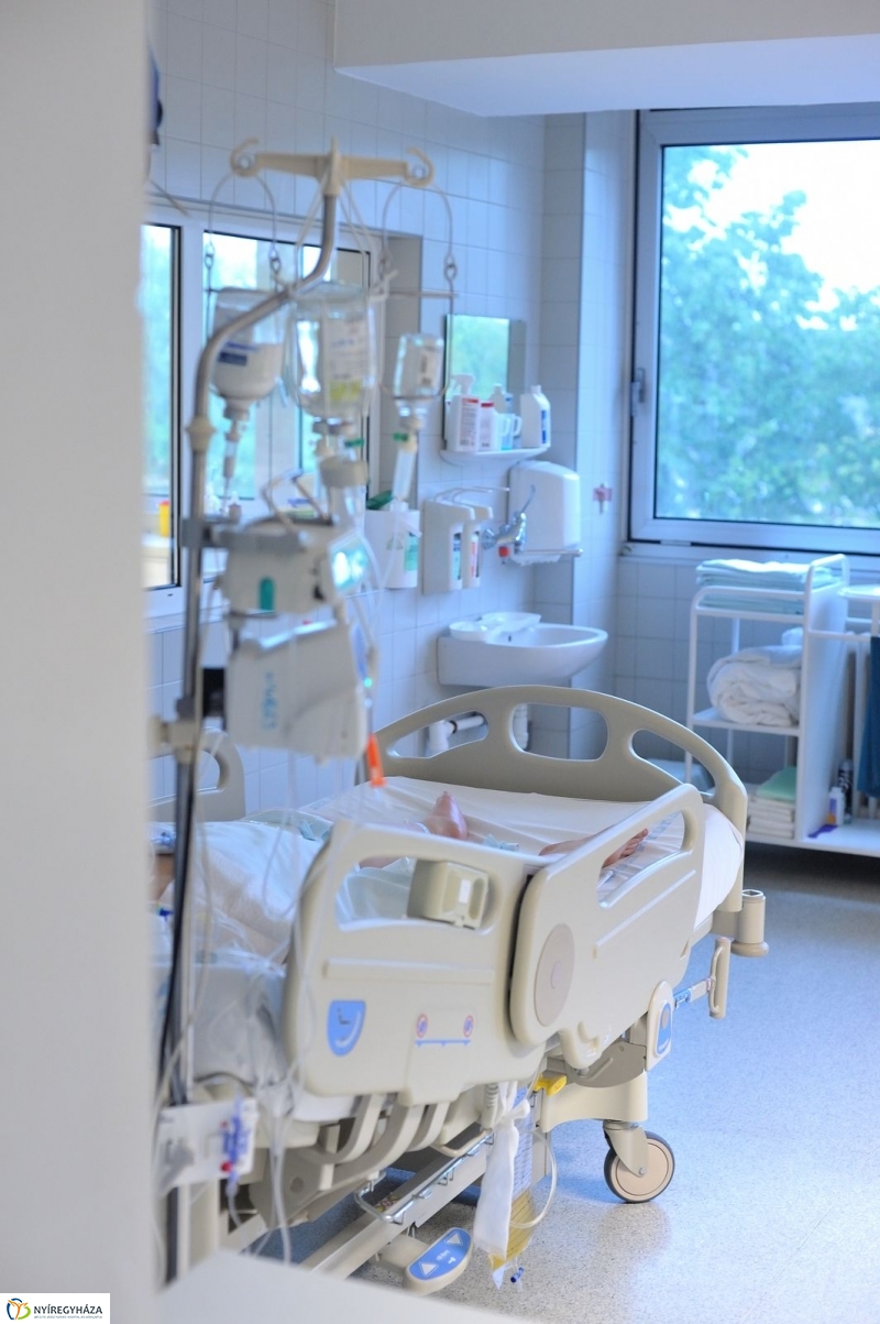 Életet Adományozó Kórház - fotó Szarka Lajos