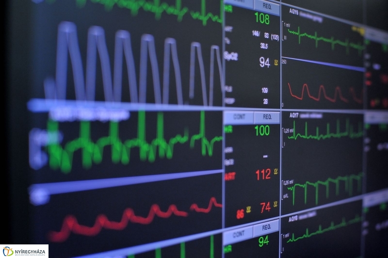 Életet Adományozó Kórház - fotó Szarka Lajos