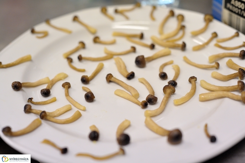 Mestervacsora a Sipkayban - fotó Szarka Lajos