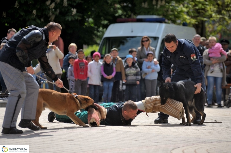 Rendvédelmi Nap 2017 - fotó Szarka Lajos