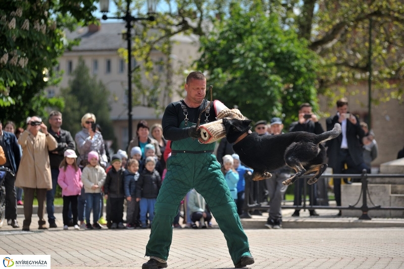Rendvédelmi Nap 2017 - fotó Szarka Lajos