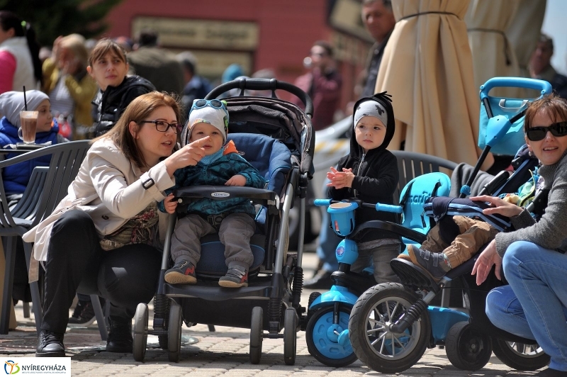 Rendvédelmi Nap 2017 - fotó Szarka Lajos